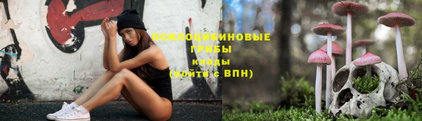 дурь Алексеевка