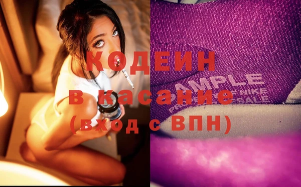 прущие грибы Алзамай