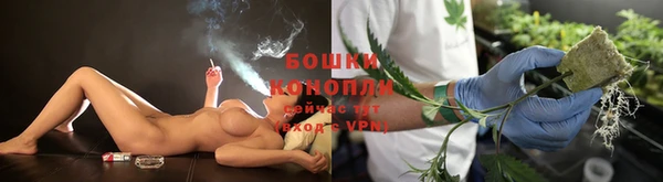 дурь Алексеевка