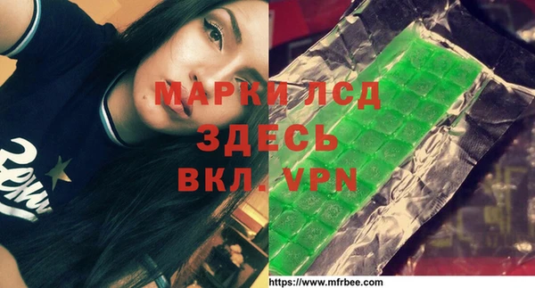 прущие грибы Алзамай