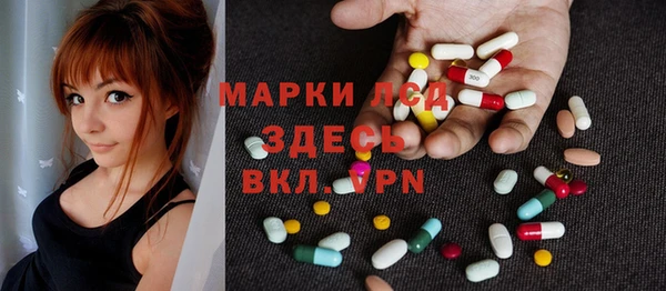 прущие грибы Алзамай