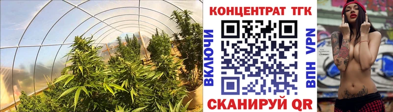 ТГК Wax  Купить  Шатура 