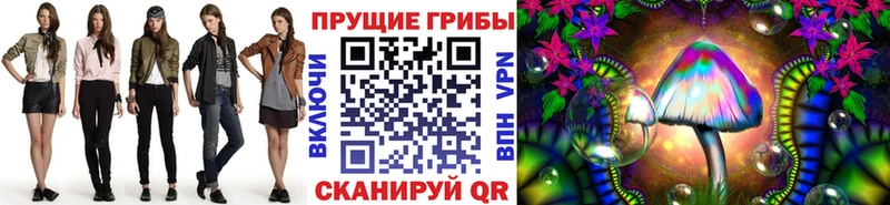 Купить  Шатура  Галлюциногенные грибы Cubensis 