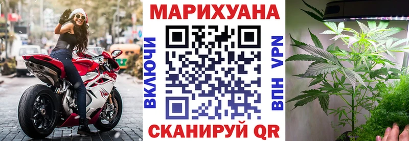 Купить  Шатура  Каннабис SATIVA & INDICA 